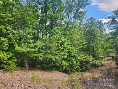 00 Hickory Nut Ln unit 390, Lake Lure, NC 28746 - photo 4