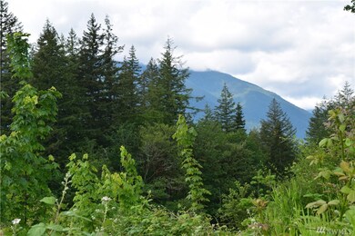 13556 Center Rd, Quilcene, WA 98376 - photo 4