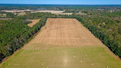 Open Fields