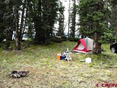 0 Cardwell Draw Rd unit 716504, Powderhorn, CO 81243 - photo 7