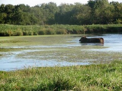 310 E 58 Hwy, Raymore, MO 64083 - photo 6