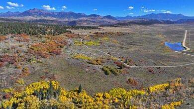 1250 McKenzie Springs Rd, Placerville, CO 81430 - photo 5