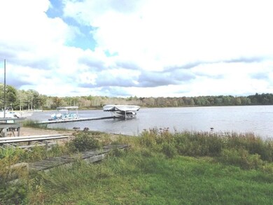 12916 Pickeral Ave, Bitely, MI 49309 - photo 2