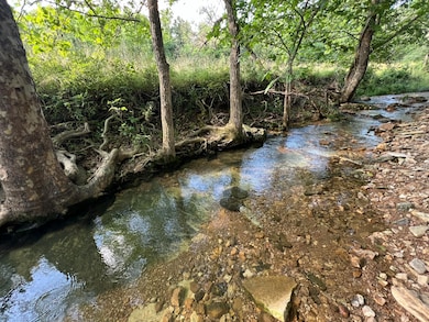 4811 Hwy Mm, Mountain Grove, MO 65711 - photo 6