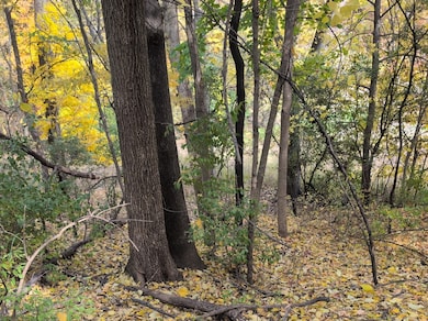 1213 W Park Front St, Joliet, IL 60436 - photo 2