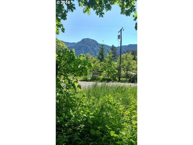 0 Skamania Landing Rd unit 9 16353891, Skamania, WA 98648 - photo 5