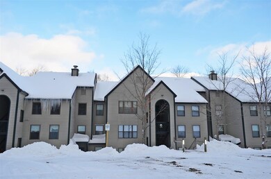 28 Fowler Rd unit N-202, Ludlow, VT 05149 - photo 2