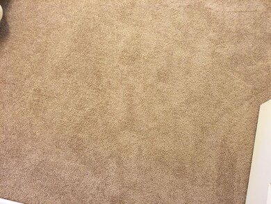 New Carpet in bedrooms