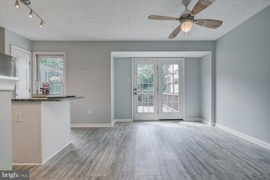 7948 Brightlight Place, Ellicott City, MD 21043 - photo 6