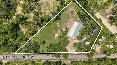 207 Granger Rd SE, Steinhatchee, FL 32359 - photo 3