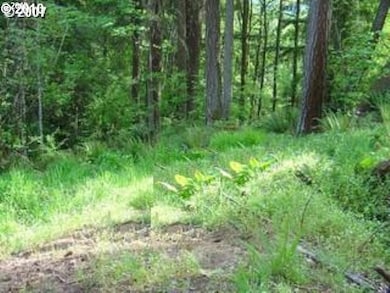 4 Briarwood Dr unit 4, Scappoose, OR 97056 - photo 6