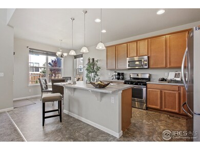 392 Cade St, Brighton, CO 80601 - photo 7