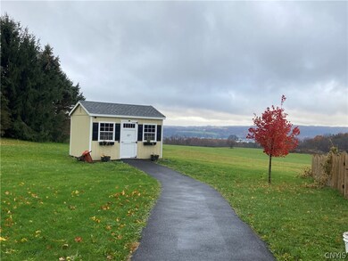 View of shed and background