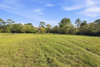 TBD County Road 204, Plantersville, TX 77363 - photo 6
