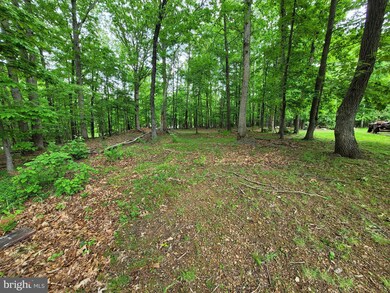 174 Hackberry Ln, Bluemont, VA 20135 - photo 7