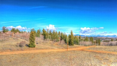 46 Red Bird Ln, Como, CO 80432 - photo 4