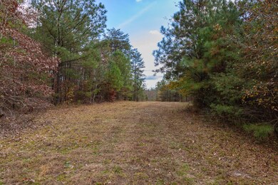 85 County Road 3217, Haleyville, AL 35565 - photo 4