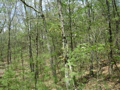 Lot 2A&B Quaker St, Northbridge, MA 01534 - photo 2