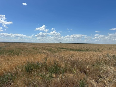 12250 S Jameson Ave, Fresno, CA 93706 - photo 3