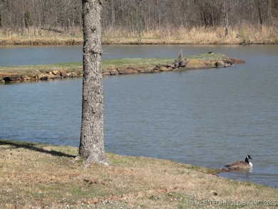 3 E Snake Creek Rd, Cookson, OK 74427 - photo 6