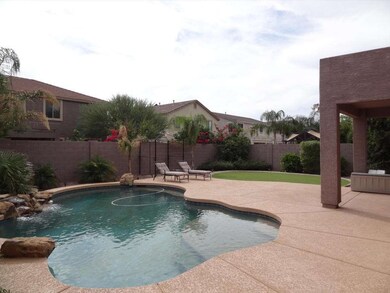 Pool & Back Yard Completed 2010