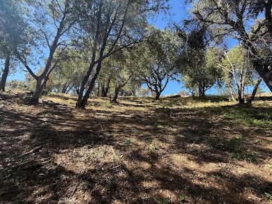 5710 Clouds Rest, Mariposa, CA 95338 - photo 2