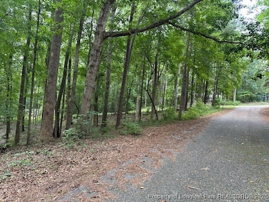 162 Woodwedge Way, Sanford, NC 27332 - photo 7