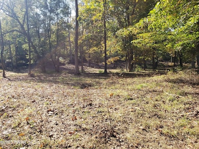 1070 Delaware Dr, Matamoras, PA 18336 - photo 4