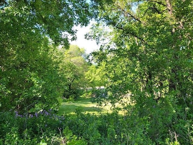 XXX W Church St, Belle Plaine, MN 56011 - photo 3