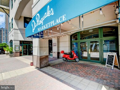 Harborview Towers unit PH1B, Baltimore, MD 21230 - photo 5