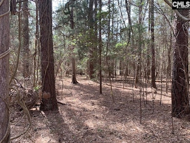 0 Eleazer (Parcel C) Rd unit 621895, Irmo, SC 29063 - photo 3