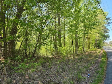 0 Winterville Rd unit 64377, Bloxom, VA 23308 - photo 2