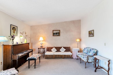 4-web-or-mls-Qp-00496