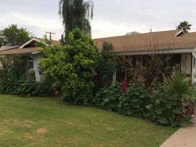 beautiful landscaping