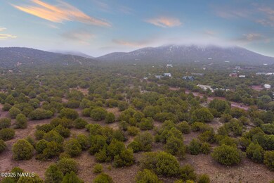 2409 E New Moon Way, Red Lake, AZ 86046 - photo 5