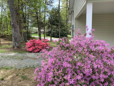 PURPLE PLANT