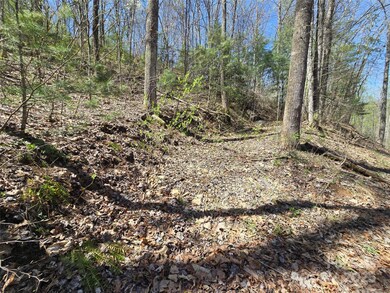 00 Riverside Dr unit 33/34, Whittier, NC 28789 - photo 3