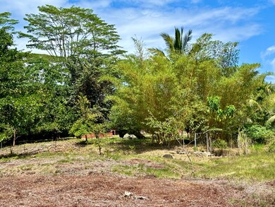 Looking down the middle of the 2 side by side parcels to the rear fencing of the properties