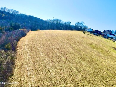 dji_fly_20250203_151616_242_173861378532