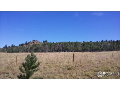 548 Opal Dr, Hartsel, CO 80449 - photo 2