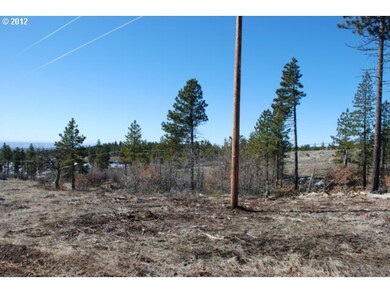 0 Timber unit 66 12454100, Bickleton, WA 99322 - photo 4