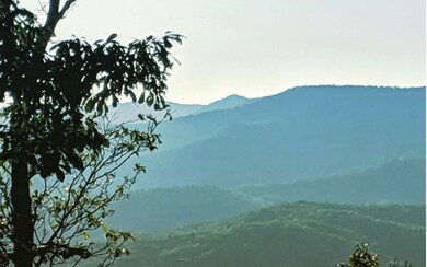 Additional View