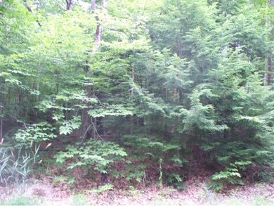 0 Buzzell Rd unit 4175415, Acton, ME 04001 - photo 3