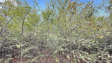 2 S 4531 Rd, Vian, OK 74962 - photo 3