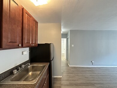 1040 W Hollywood Ave unit 520, Chicago, IL 60660 - photo 4