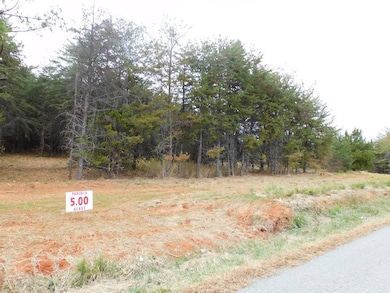 5 (P4) Brights Rd, Gretna, VA 24557 - photo 6