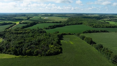 Lot 5 280th St, Glenwood City, WI 54013 - photo 3