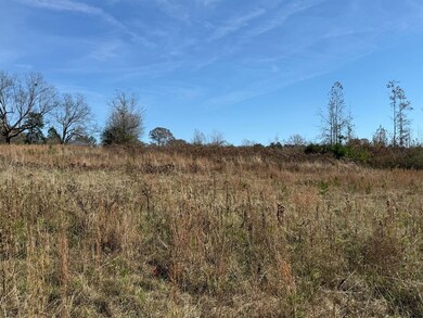 Roebuck Dr, Preston, MS 39354 - photo 7