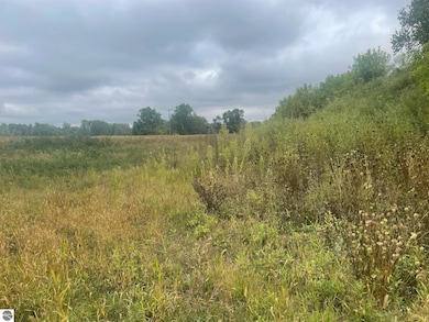 TBD E Denver Rd, Rosebush, MI 48622 - photo 4