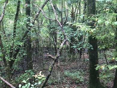 0 Harley Davidson Ln unit 315293, Crawfordville, FL 32327 - photo 5